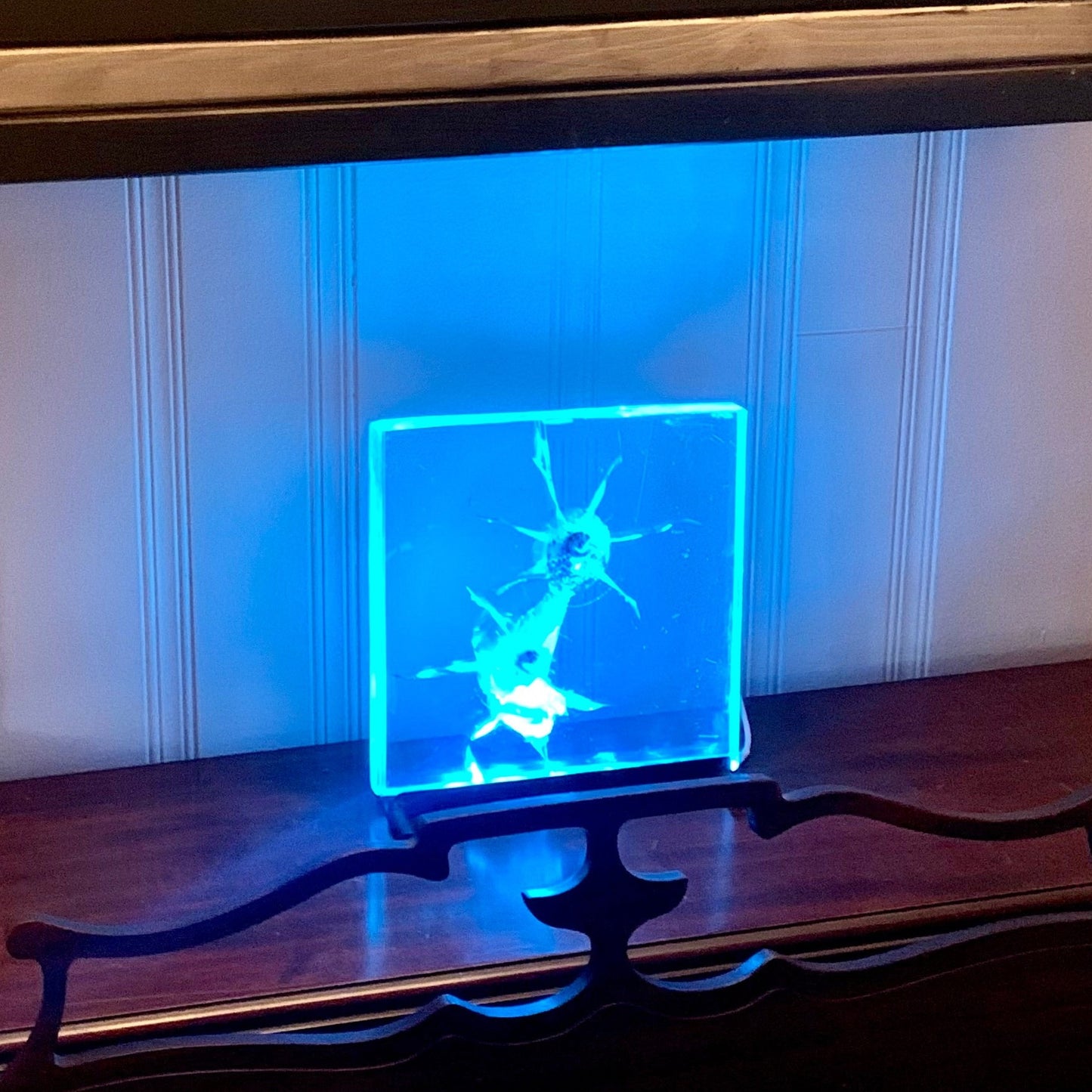 Ballistic Glass Display